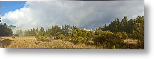 Panorama Metal Print featuring the photograph December Henry Cowell Sunrise Panorama by Larry Darnell