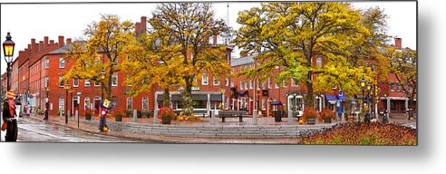 Market Square Metal Print featuring the photograph Market Square Harvest - 2009 by John Brown