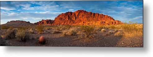  Arid Metal Print featuring the photograph Valley of Fire by Darren Bradley