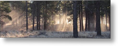 Coconino Forest Metal Print featuring the photograph Coconino Dawn by Joshua Bales