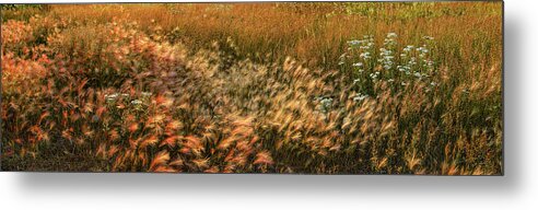 Panorama Metal Print featuring the photograph Northern Summer by Doug Gibbons