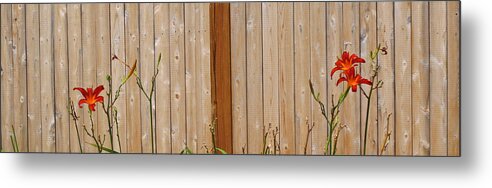 Floral Metal Print featuring the photograph Red Lilies by Barbara McDevitt