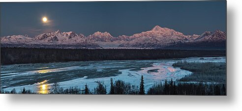 Alaska Metal Print featuring the photograph Denali Morning Blue by Ed Boudreau