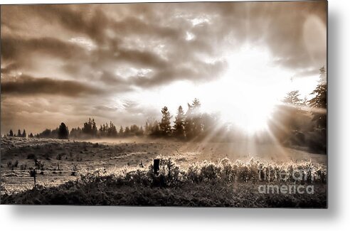 Landscape Metal Print featuring the photograph Hope II by Rory Siegel