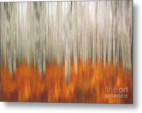 Birch Metal Print featuring the painting In the Woods by Jim Hatch