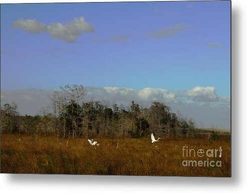 Crane Metal Print featuring the photograph Lifes Field Of Dreams by Anthony Wilkening