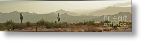 Arizona Metal Print featuring the photograph Desert Hills by Julie Lueders 