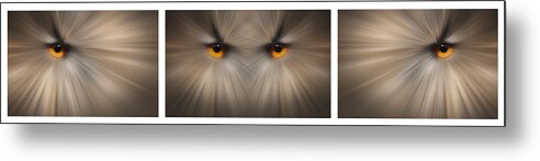 Eye Metal Print featuring the photograph Eagle Owl Eye Triptych by Andy Astbury