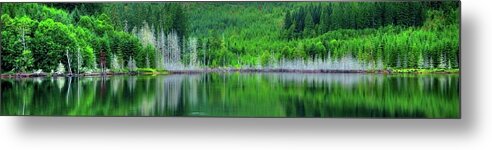 Mcguire Metal Print featuring the photograph McGuire Reservoir P by Jerry Sodorff