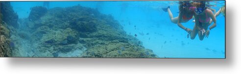 Snorkeling Metal Print featuring the photograph Snorkeling by Brooke Bowdren