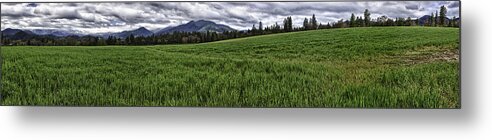 Hdr Metal Print featuring the photograph The Green Across by Nathaniel Kolby