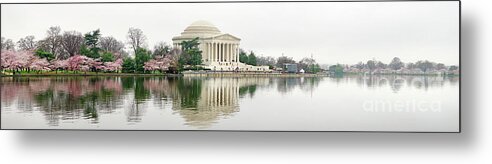 Tidal Basin Metal Print featuring the photograph Jefferson Memorial and Cherry Blossoms Panorama by Jack Schultz