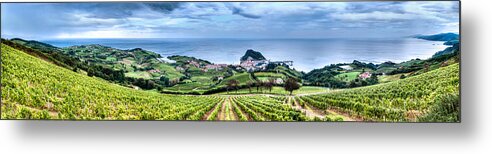 Getaria Vineyards Metal Print featuring the photograph Vineyards by the Sea by Weston Westmoreland