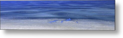 Abstract Metal Print featuring the digital art Leaves On The Ice Three by Lyle Crump