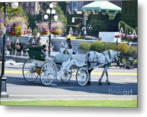 British Columbia Metal Print featuring the photograph Horse and Buggy by Traci Cottingham
