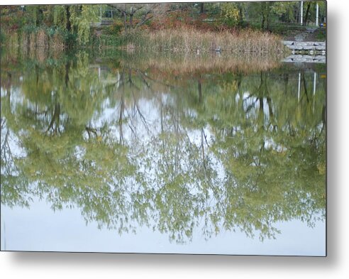  Metal Print featuring the photograph Autumn Transition 95 by Ee Photography