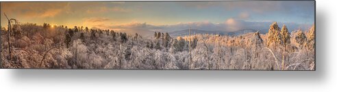 Asheville Metal Print featuring the photograph Raven's View Winter by Joye Ardyn Durham