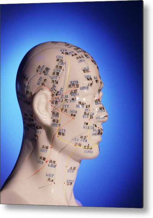 Head Acupuncture Chart
