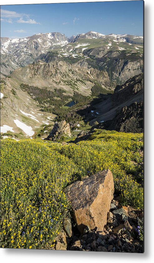 Beartooth Mountains Metal Print featuring the photograph Beartooth Mountains in Summer by D Robert Franz