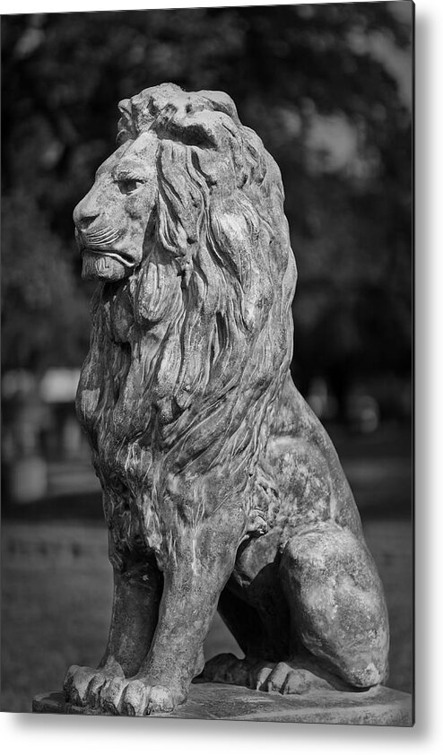 Statue Metal Print featuring the photograph Leo in Stone by Mark McKinney