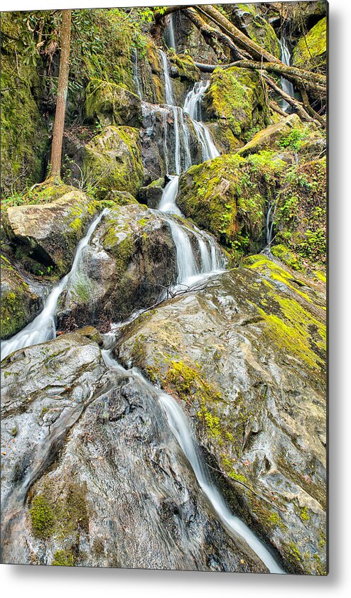 Gatlinburg Metal Print featuring the photograph After the Rain #1 by Victor Culpepper