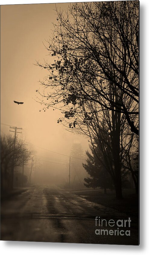Fog.orange.glow Metal Print featuring the photograph As the Crow Flys #1 by Brenda Giasson