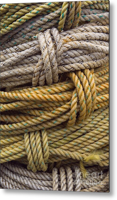 Still Life Metal Print featuring the photograph Coiled Ropes #1 by John Shaw