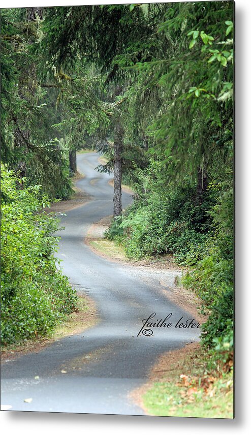 Trees Metal Print featuring the photograph Curves into Leadbetter Point State Park II by E Faithe Lester