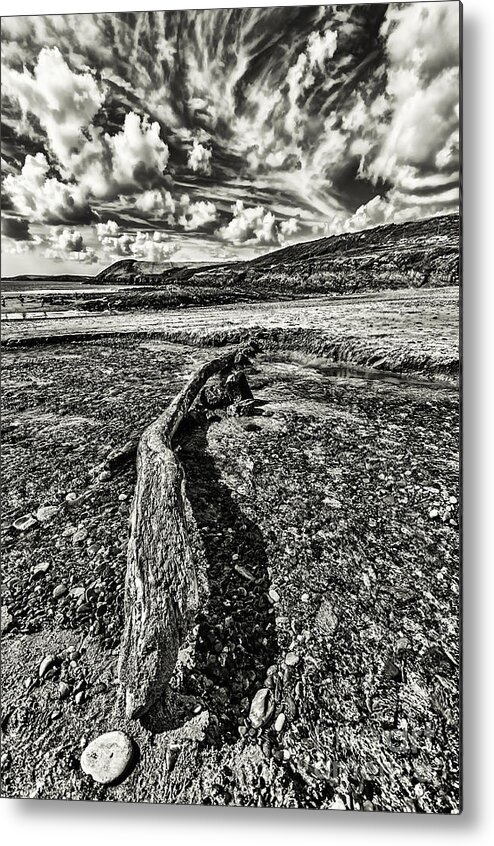 Driftwood Metal Print featuring the photograph Driftwood Mono #2 by Steve Purnell