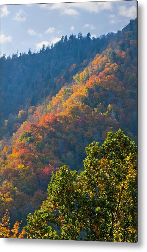 Mountain Metal Print featuring the photograph Fall Smoky Mountains #1 by Melinda Fawver