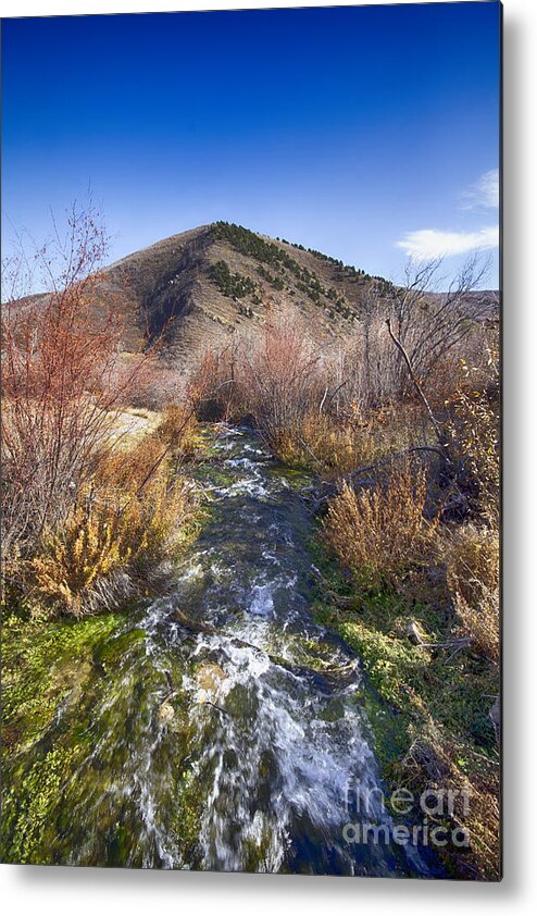 Ice Metal Print featuring the photograph Flow V10 #1 by Douglas Barnard