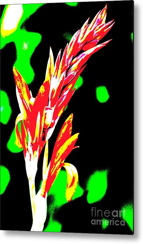 Flowers Metal Print featuring the photograph Flower #6 by Jeffery L Bowers