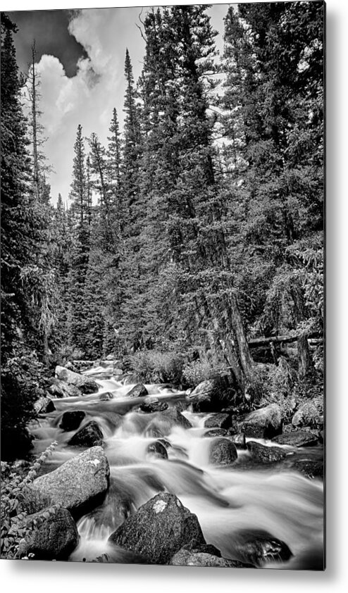 Mountain Stream Metal Print featuring the photograph Forest Stream in Black and White by James BO Insogna