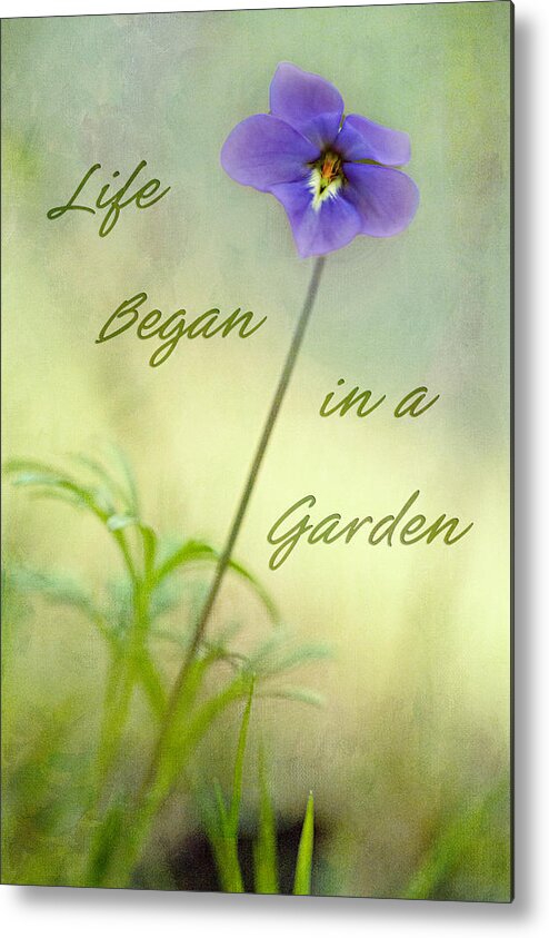 Flower Metal Print featuring the photograph Life Began in a Garden by Patricia Montgomery