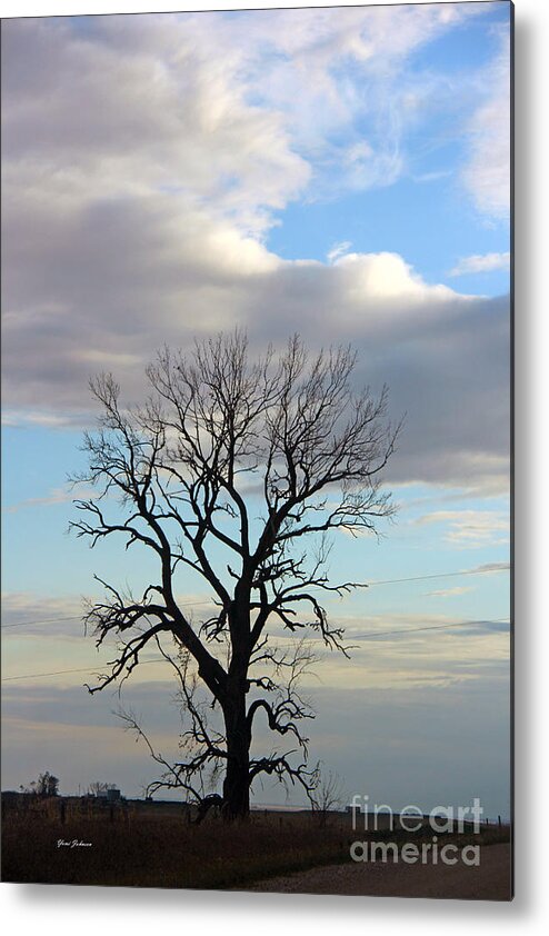 Tree Metal Print featuring the photograph Lone Tree by Yumi Johnson