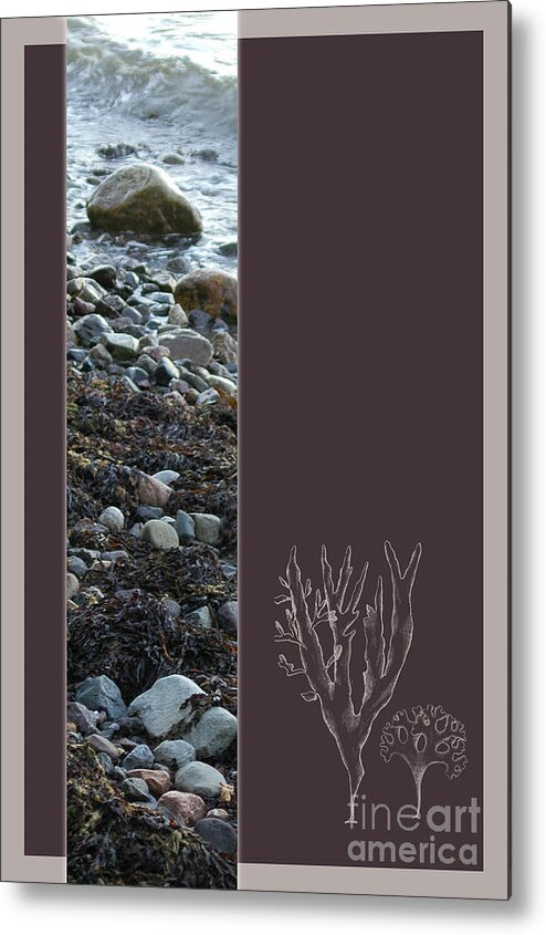 Low Metal Print featuring the photograph Low Tide #1 by Randi Grace Nilsberg