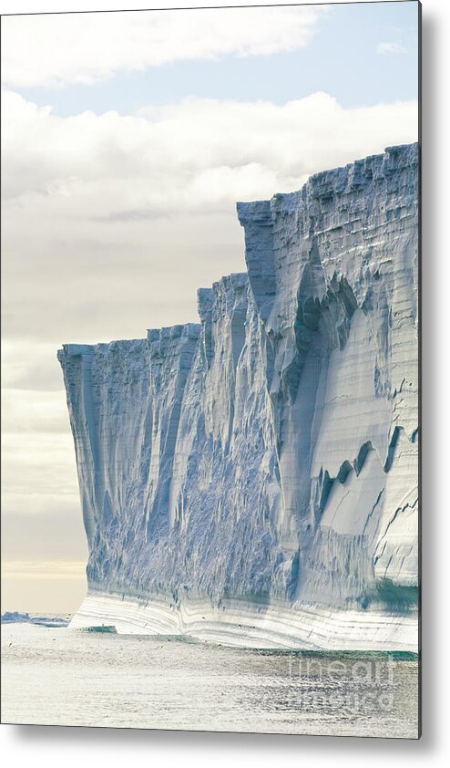 00346005 Metal Print featuring the photograph Massive Iceberg South Georgia by Yva Momatiuk John Eastcott