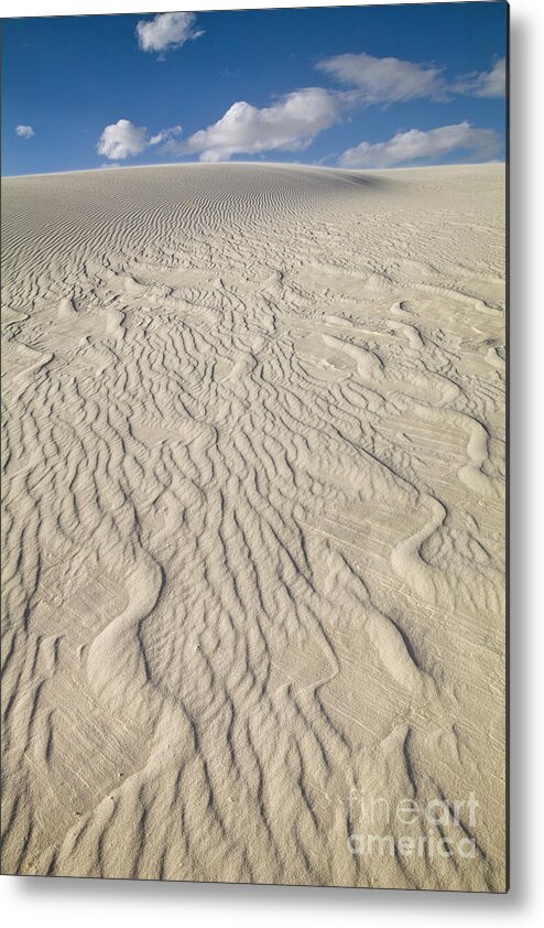 00559174 Metal Print featuring the photograph Ripple Dunes at White Sands by Yva Momatiuk John Eastcott