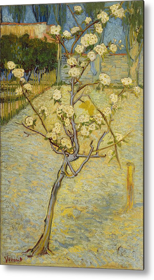 Vincent Van Gogh Metal Print featuring the painting Small Pear Tree In Blossom #1 by Vincent Van Gogh