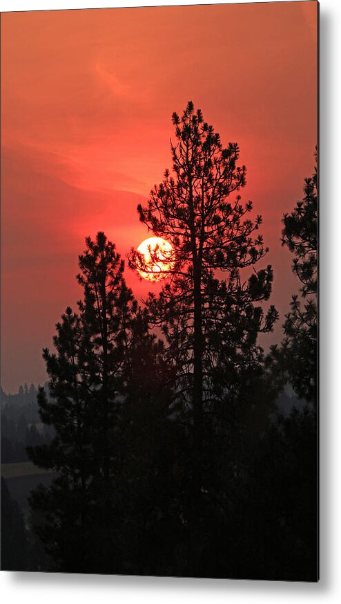 Sunrise Metal Print featuring the photograph Smokey Sunrise #2 by E Faithe Lester