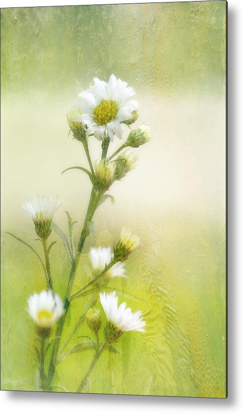 Flowers Metal Print featuring the photograph Wild Flowers #1 by Joan Bertucci