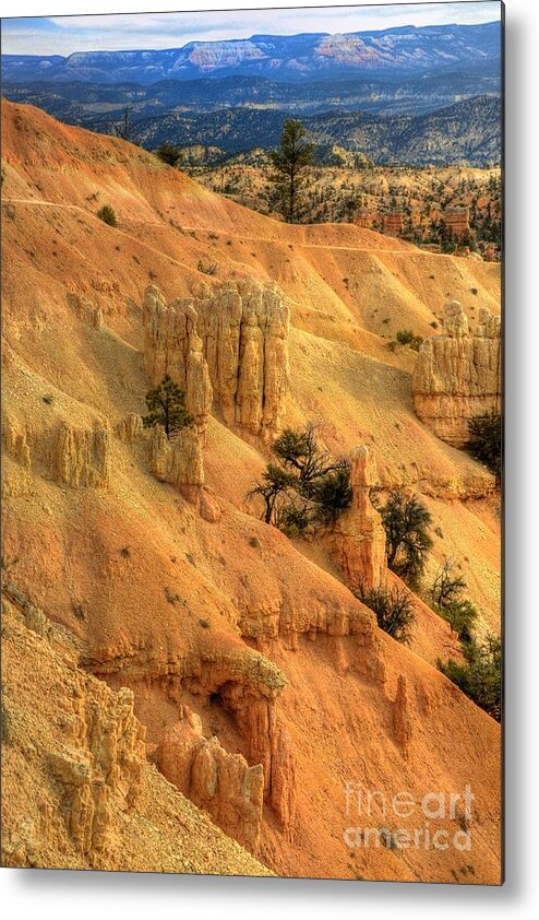 Bryce Canyon Metal Print featuring the photograph Bryce Canyon #14 by Marc Bittan