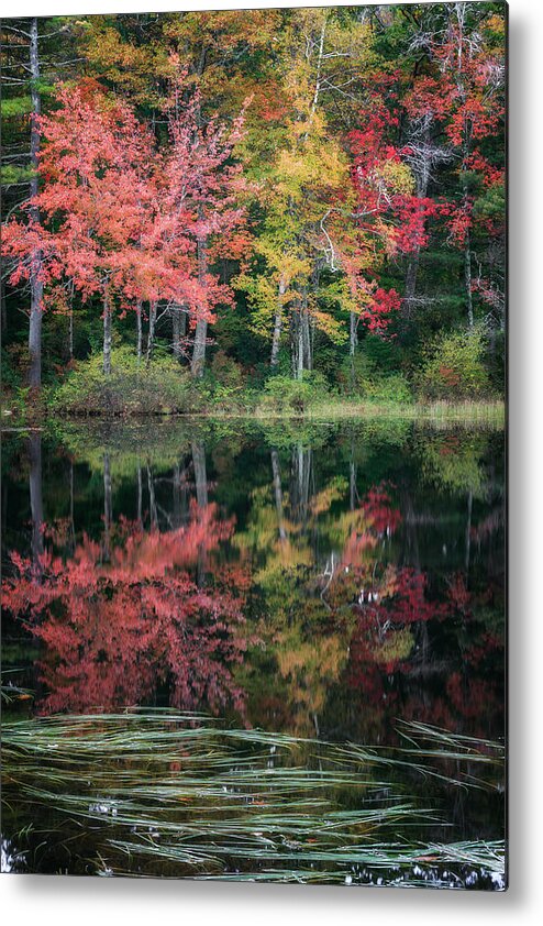 Reflection Metal Print featuring the photograph Autumn Pond #2 by Bill Wakeley