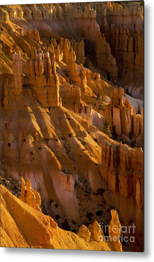 Bryce Canyon Metal Print featuring the photograph First Light #2 by Timothy Johnson