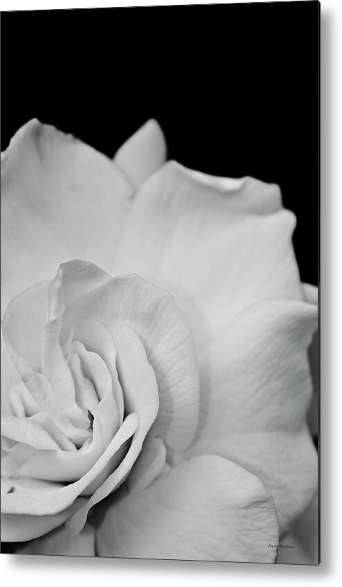 Black And White Art Metal Print featuring the photograph Black and White Flower by Crystal Wightman