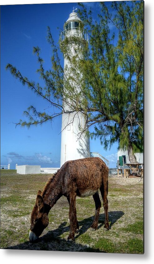 Turks And Caicos Metal Print featuring the photograph Turks and Caicos #2 by Paul James Bannerman