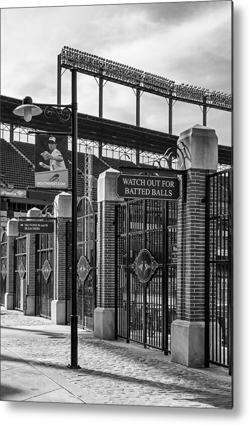 Baltimore Metal Print featuring the photograph Watch Out For Batted Balls by Susan Candelario