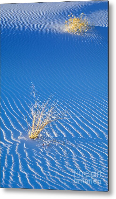 White Sands National Monument Metal Print featuring the photograph White Sands #2 by John Shaw