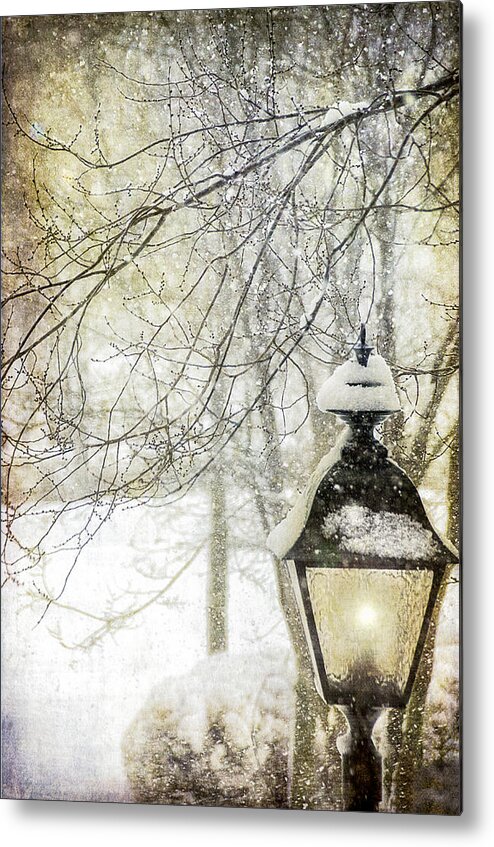 Winter Metal Print featuring the photograph Winter Stillness #1 by Julie Palencia