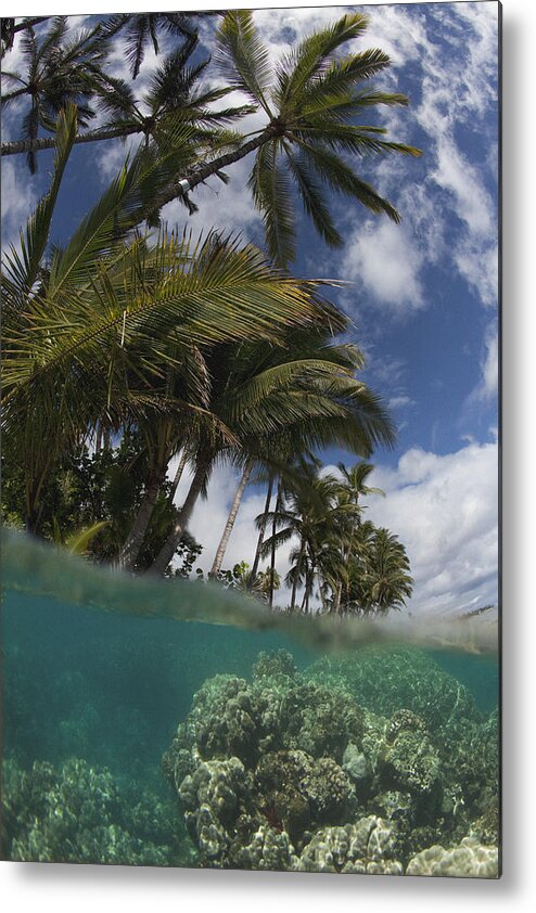 Lahaina Maui Hawaii Sky Palmtrees Coral Reef Above N Below Metal Print featuring the photograph Above N Below #3 by James Roemmling